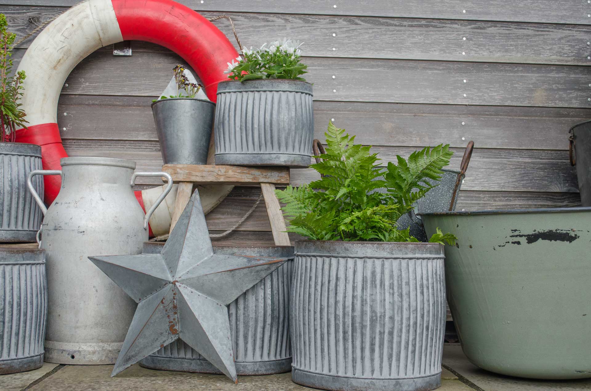 SPRING IS IN THE AIR