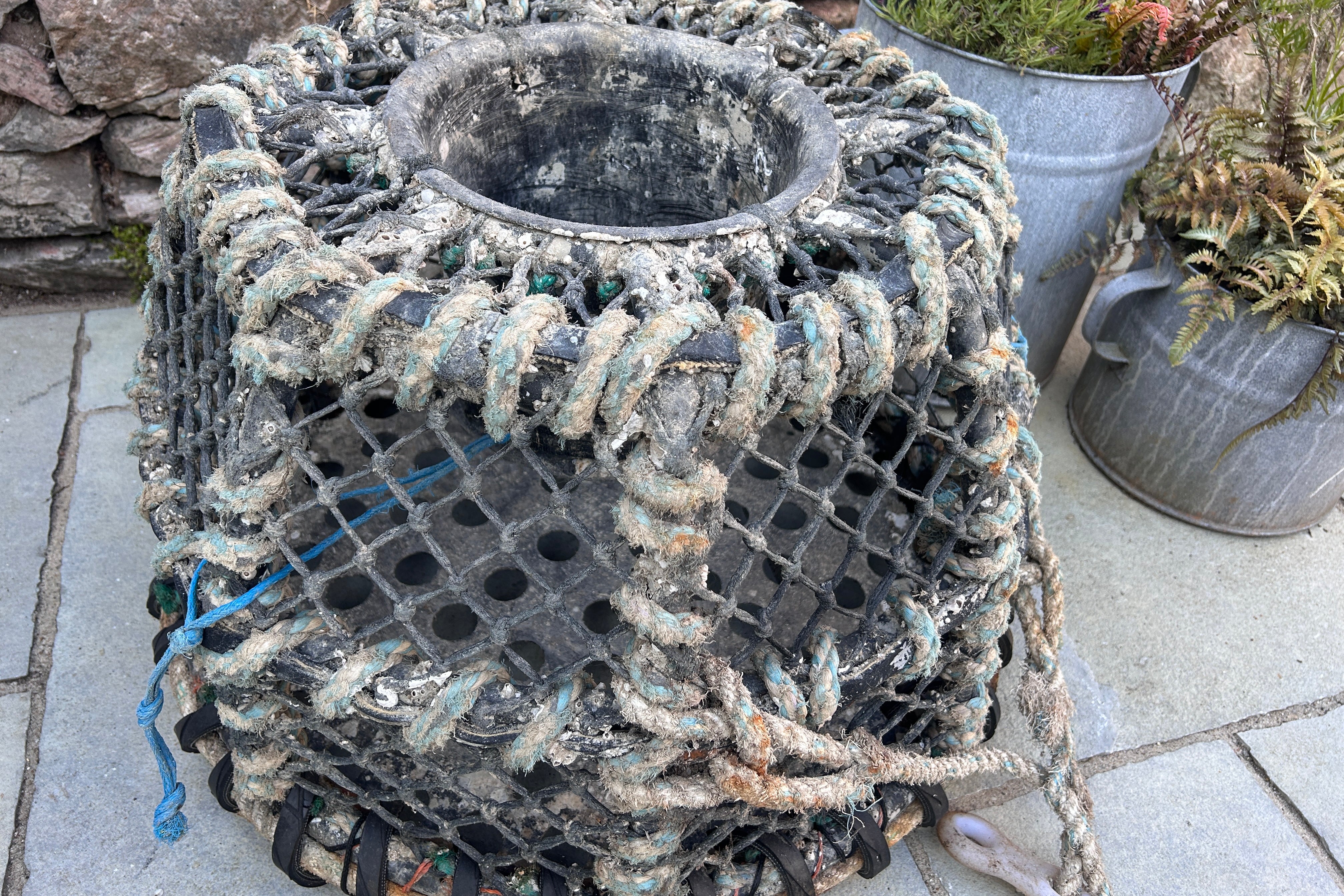 Reclaimed lobster pot