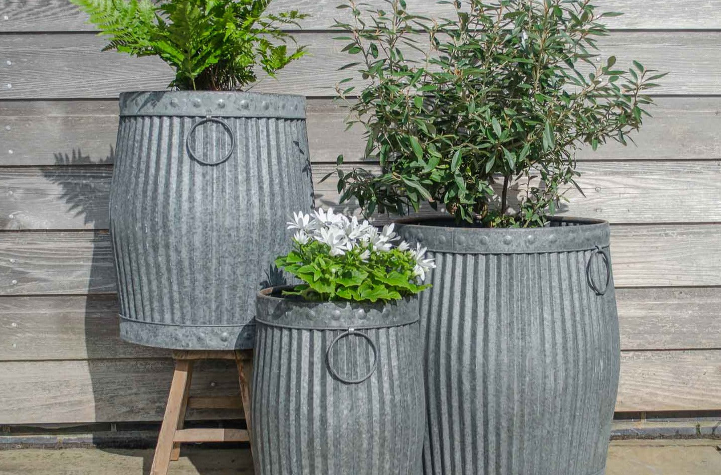 garden trading zinc planters