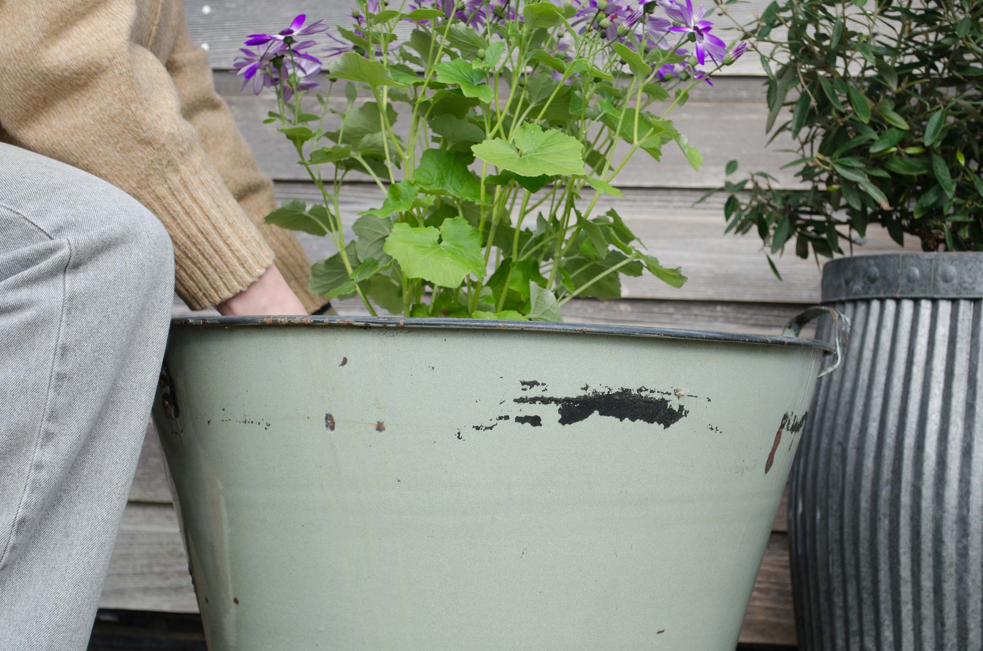 green planter
