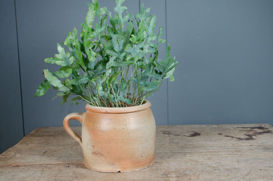 French confit pots - various sizes