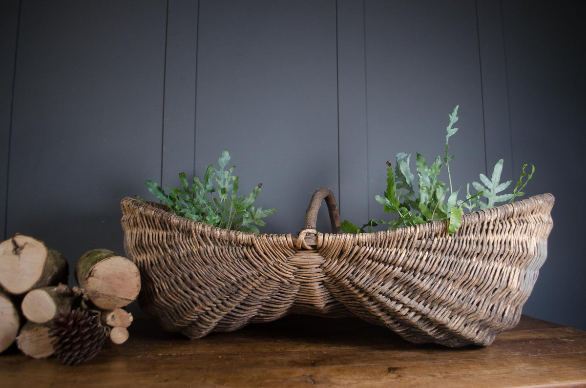 Large antique French vineyard grape harvest basket from Bordeaux