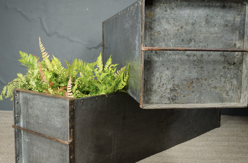 galvanised trough planter