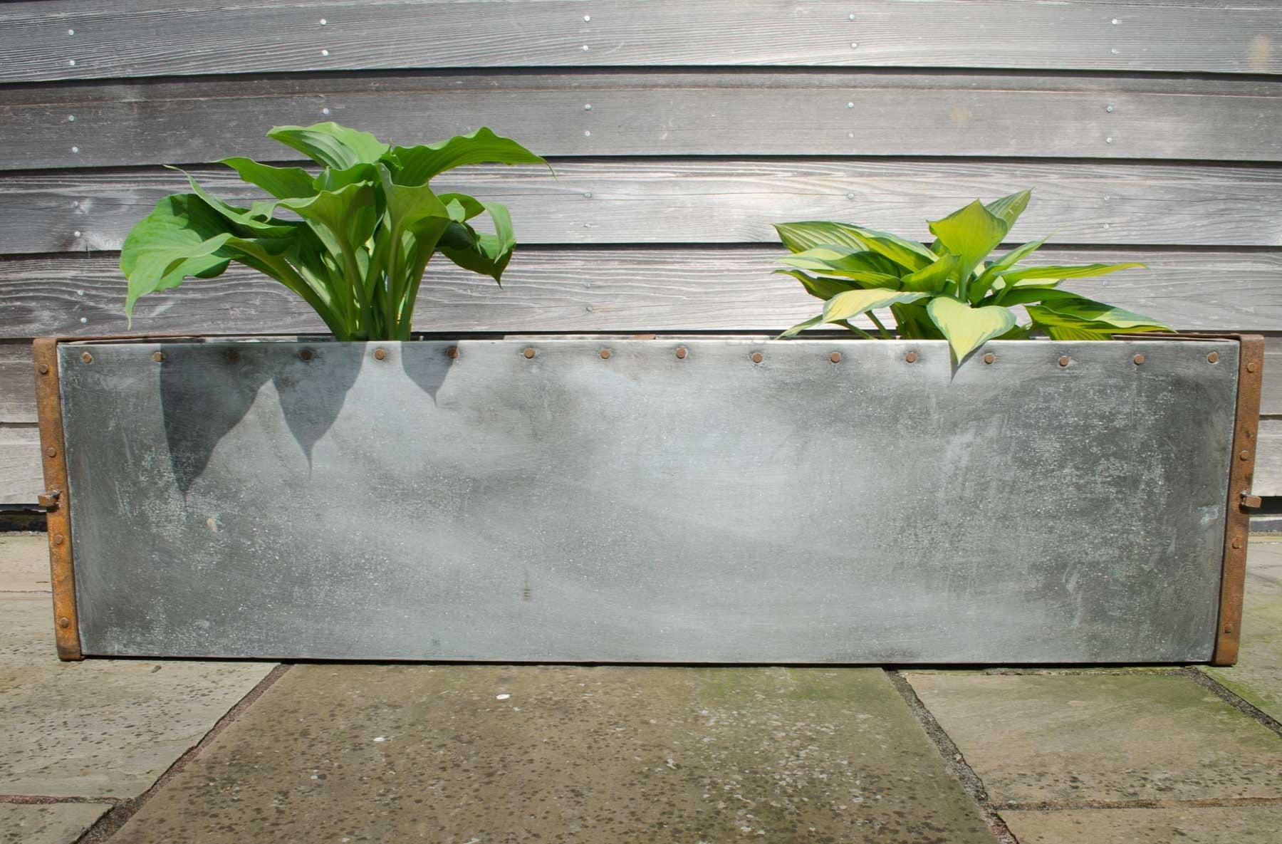 reclaimed metal trough planter