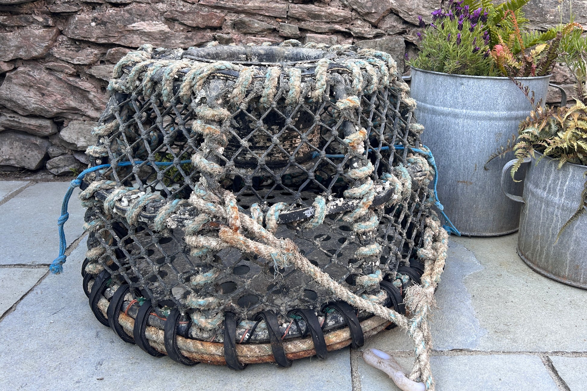 
Old lobster pot 🦞