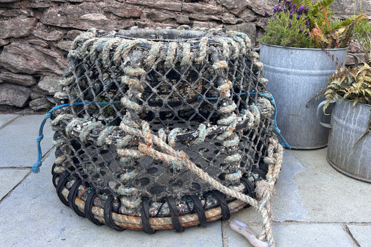 Old lobster pot 🦞