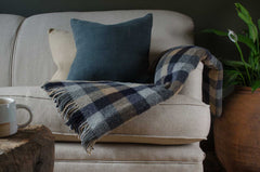 Beige sofa with plaid blanket and blue pillow, wooden coffee table with mug, and potted plant.