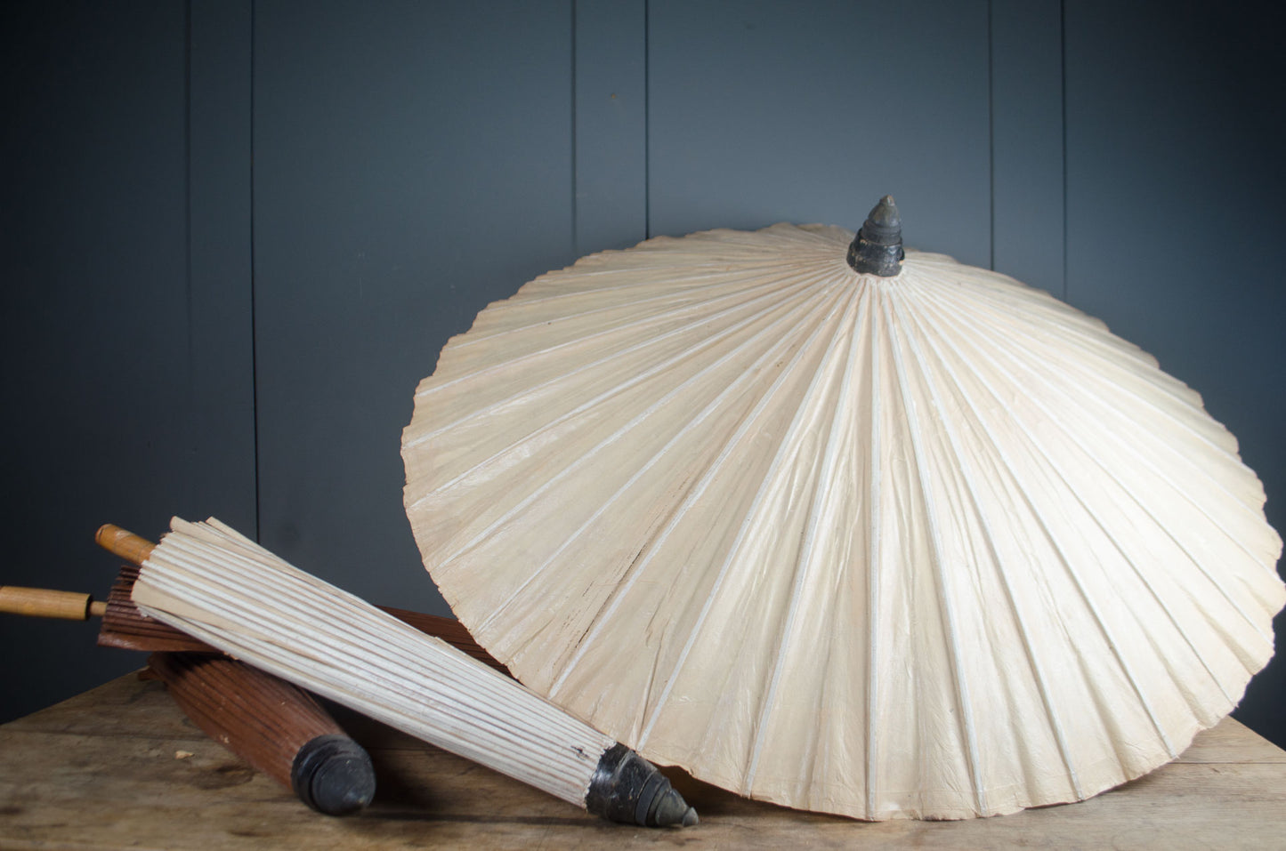 Decorative shell-shaped lamp with wooden base on a dark background