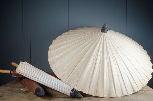 Decorative shell-shaped lamp with wooden base on a dark background