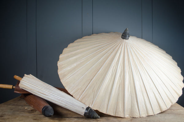 Decorative shell-shaped lamp with wooden base on a dark background