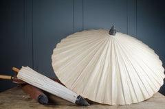 Decorative shell-shaped lamp with wooden base on a dark background