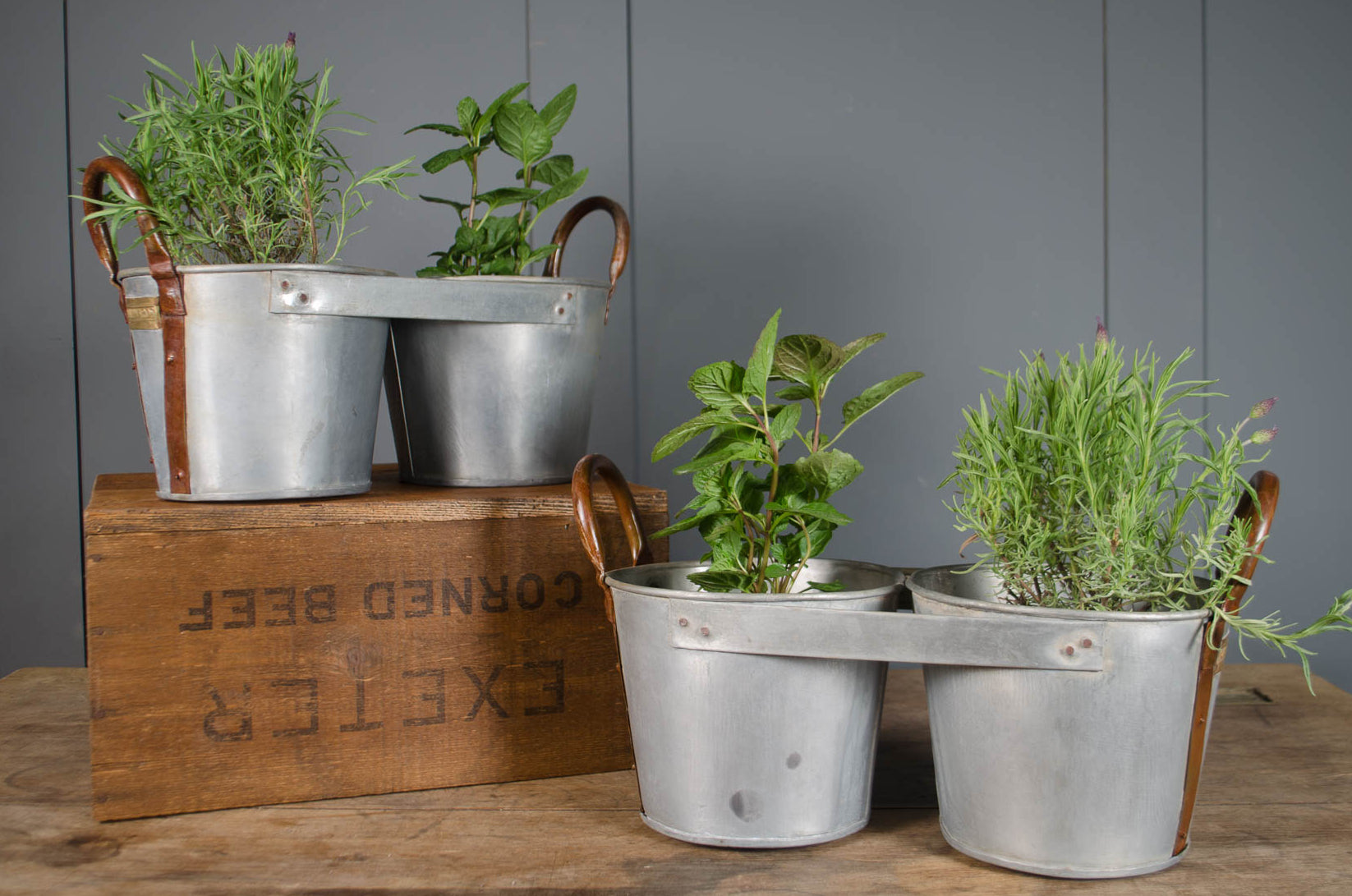 Metal planters with plants on a wooden surface against a gray wall