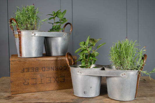 Metal planters with plants on a wooden surface against a gray wall
