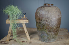 antique preserve jar green