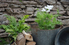 reclaimed metal garden planters