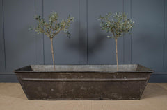 Large metal trough with two small trees against a dark blue wall.