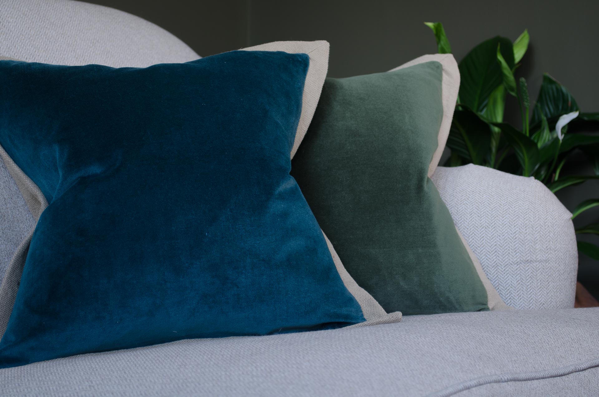 Two velvet pillows, one blue and one green, on a light gray sofa with a plant in the background.