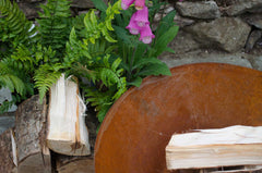 rusty metal with foxgloves in woodland garden