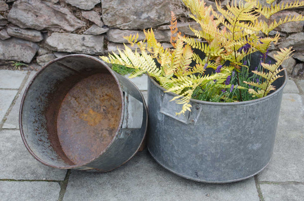 reclaimed planters in cottage garden