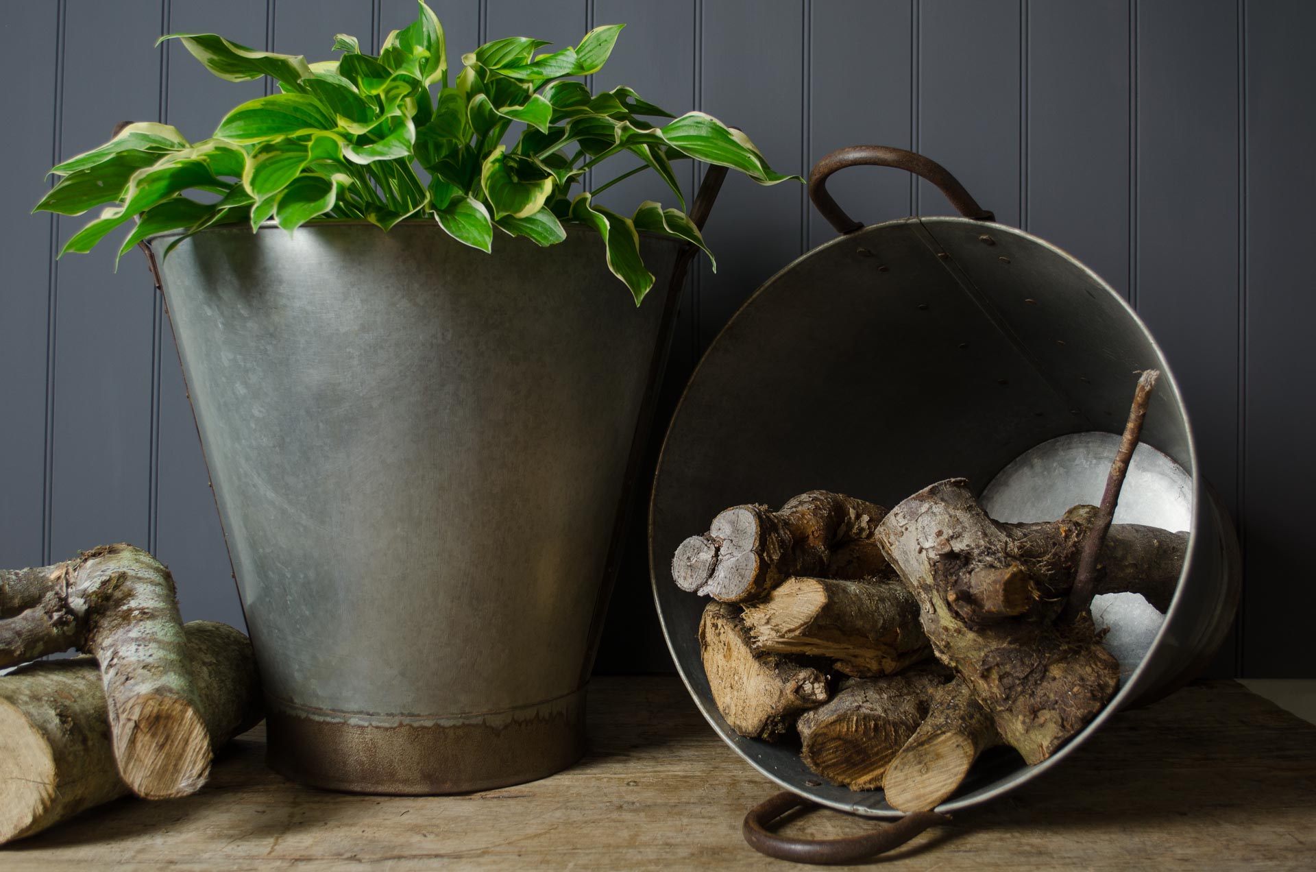 galvanised bucket