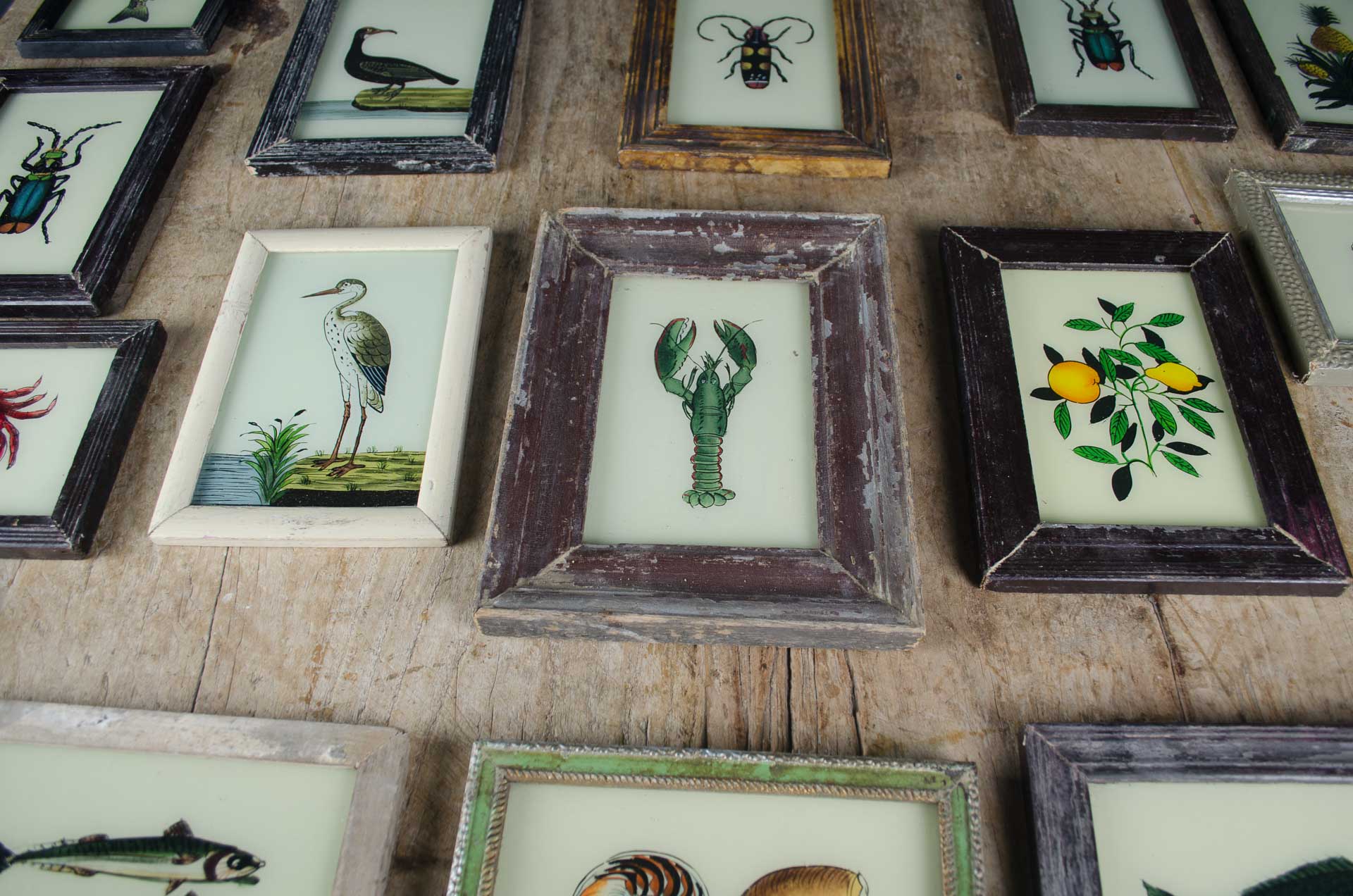 
Indian glass art - Medium Animals
