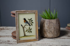 Medium - Indian glass art