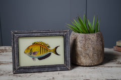 Medium - Indian glass art