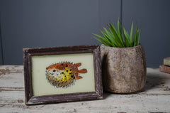Medium - Indian glass art