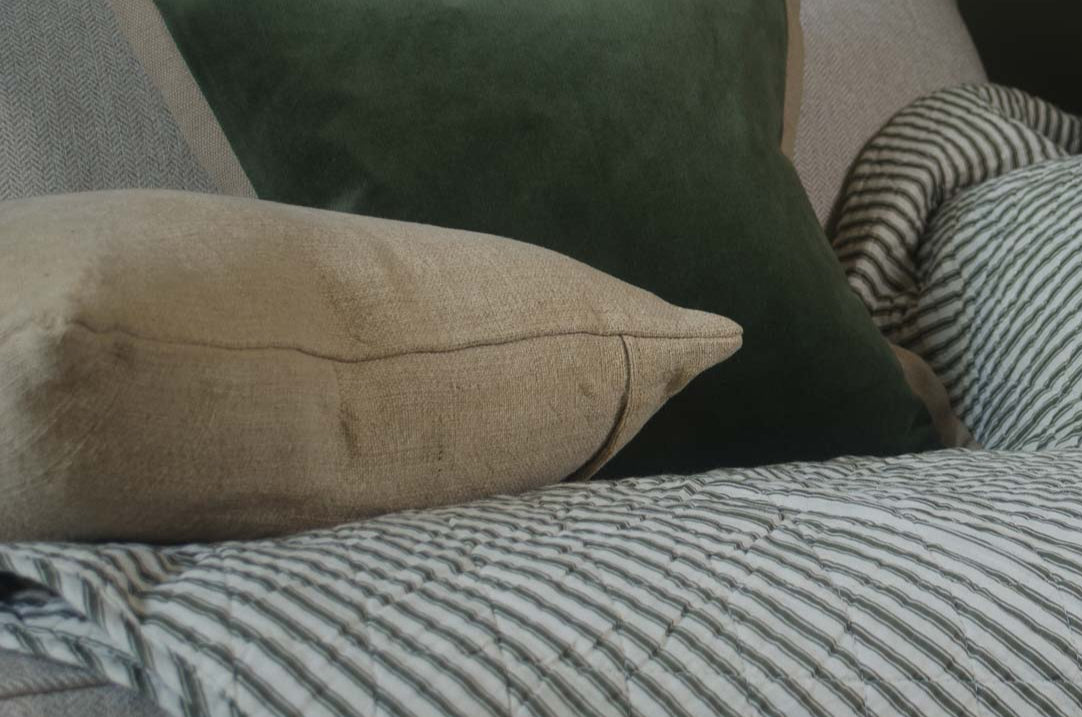 
Beige sofa with green and striped cushions, and a plant in the background.
