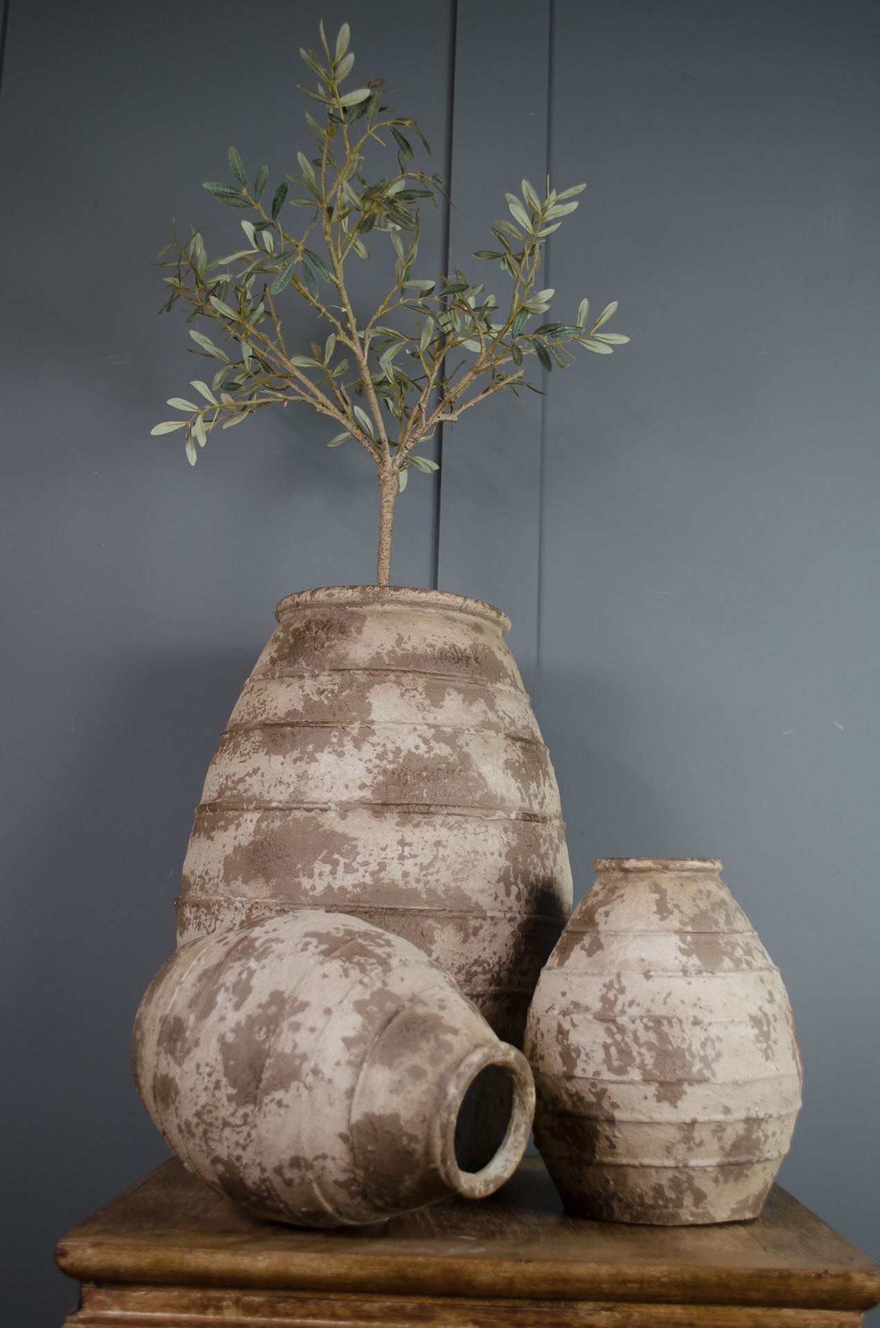 
turkish olive tree pots