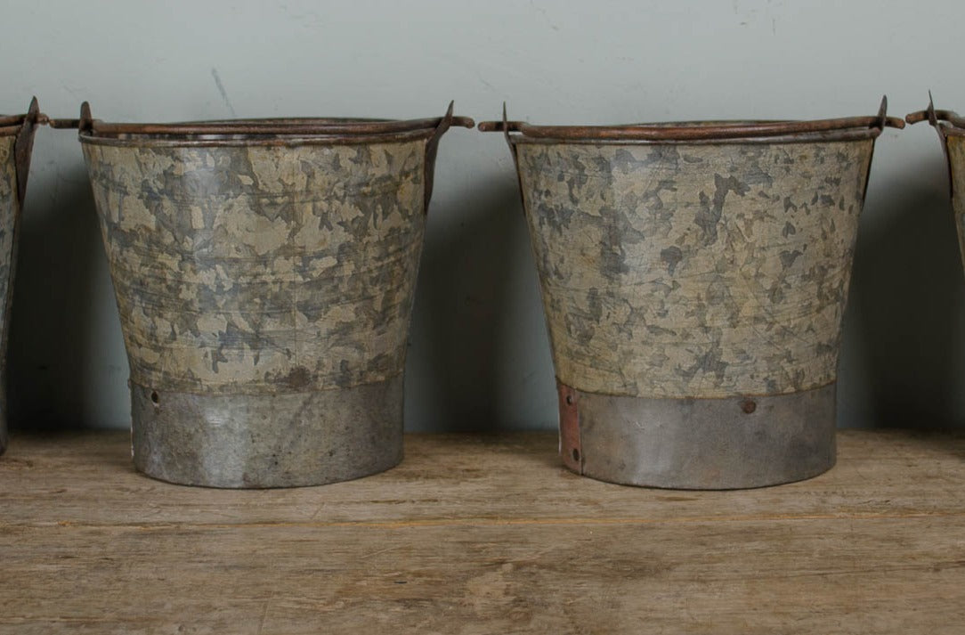 galvanised bucket planter