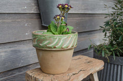 green glazed terracotta pot