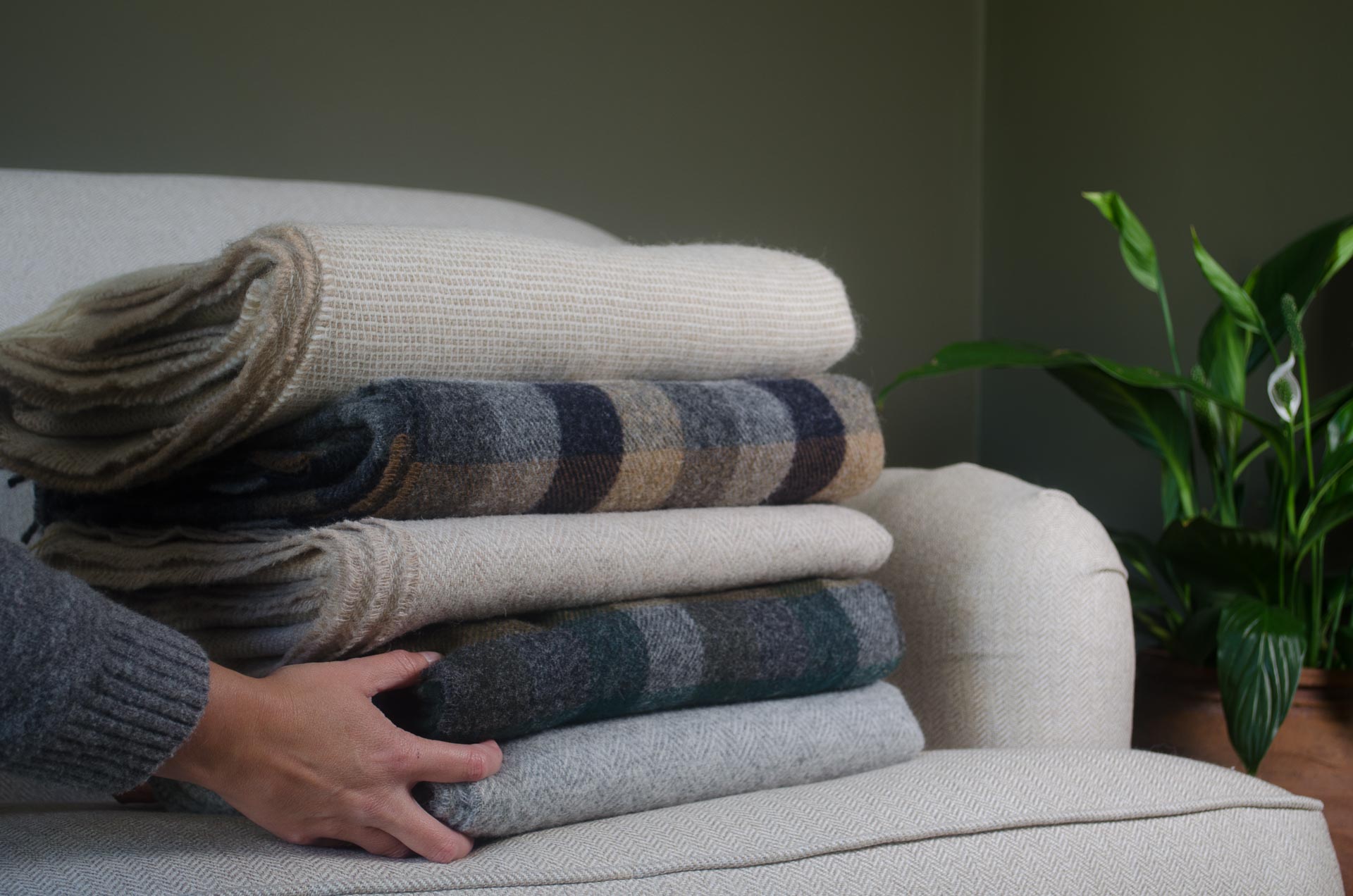 Stack of folded wool blankets on a sofa with a hand adjusting them, plant in the background, green walls