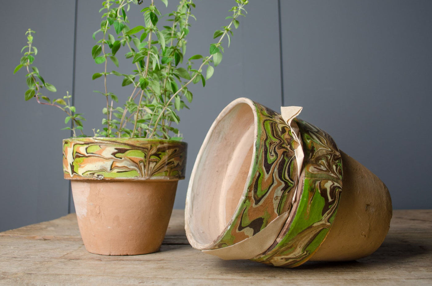 rustic terracotta plant pot
