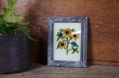 Indian glass art - Small Plants
