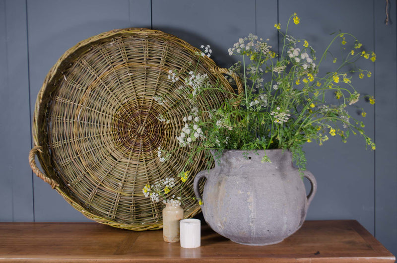 Explore the French Collection