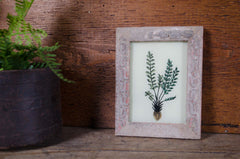 Indian glass art - Small Plants
