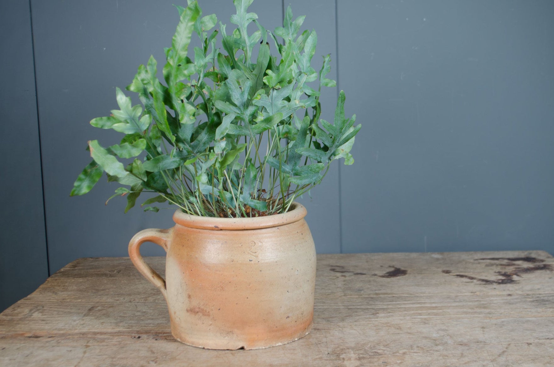 
French confit pots - various sizes