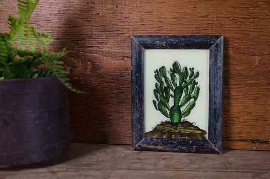 Indian glass art - Small Plants