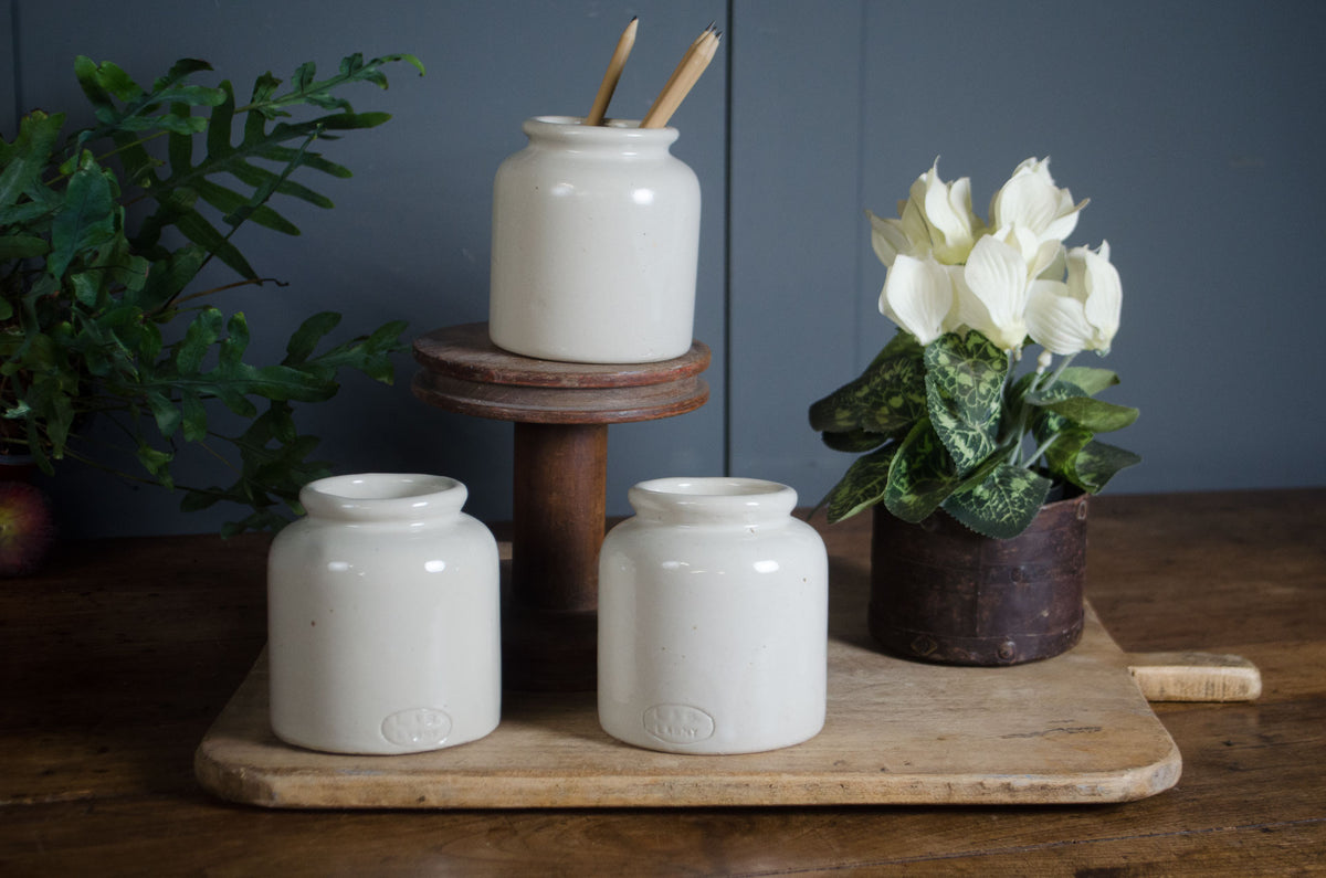 
Three small white ceramic canisters with lids are arranged on a wooden board on a rustic table, alongside a potted white flower and green foliage against a dark blue-gray paneled wall.