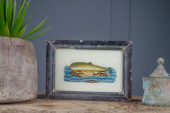 Medium - Indian glass art