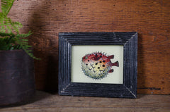 Indian glass art - Small Animals