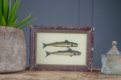 Medium - Indian glass art