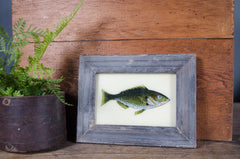 Indian glass art - Medium Animals