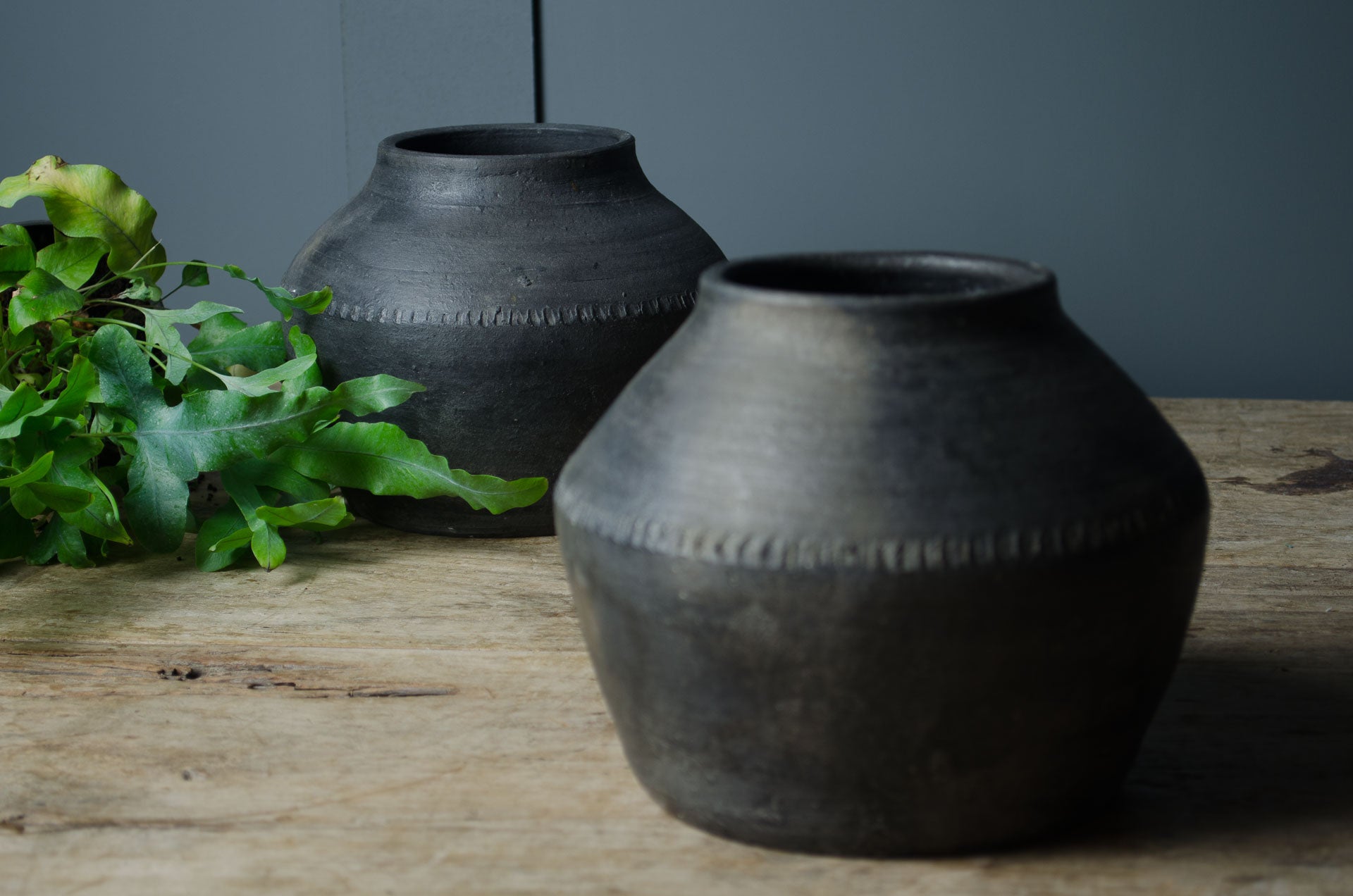 black pottery plant pot
