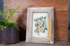 Indian glass art - Medium Plants