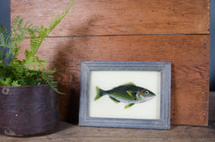 Indian glass art - Medium Animals