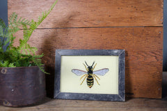 Indian glass art - Medium Animals