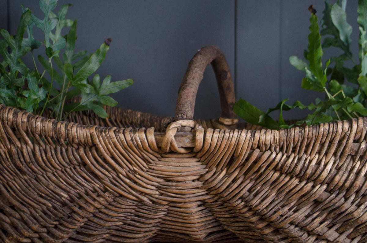 
Antique French grape harvesting basket for film and TV props