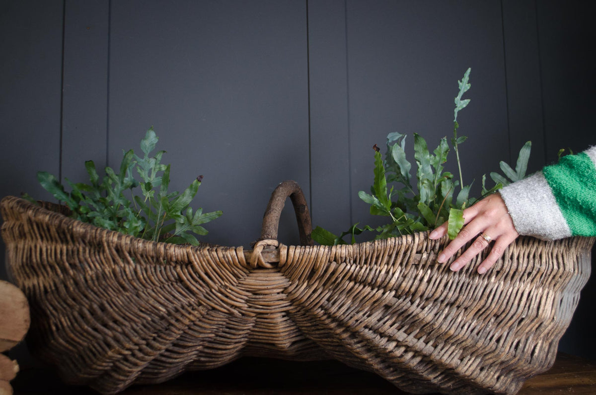 19th century French grape picking donkey buttocks basket